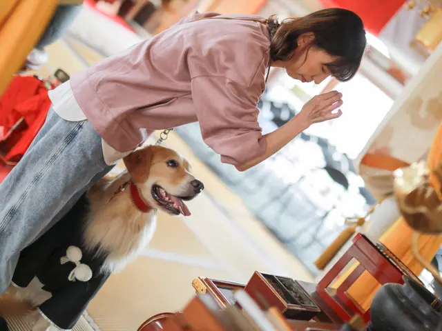 歴14年以上のママカメラマン♪・豊川市の自宅スタジオペットちゃんOK