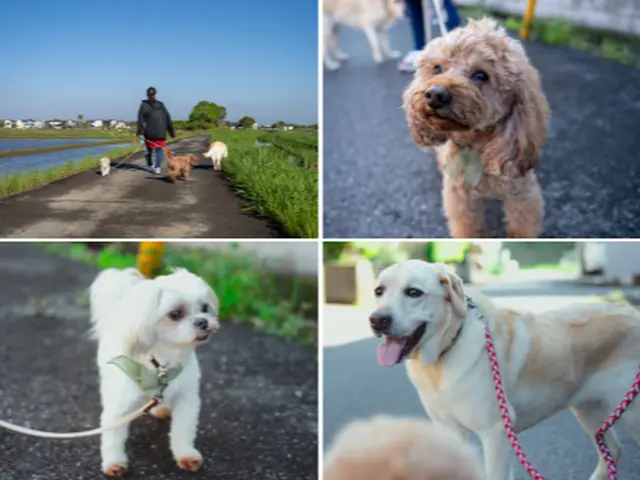 【トリマー歴20年】ペットロスカウンセラーが数十年後も大切にそばにある写真を☆