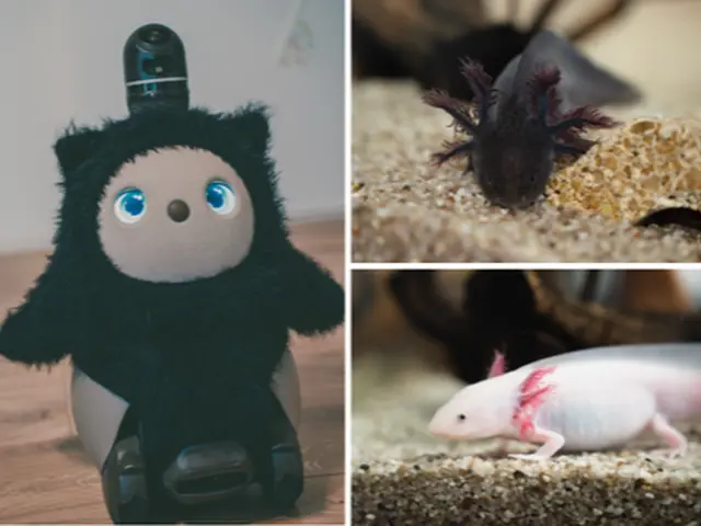 【トリマー歴20年】ペットロスカウンセラーが数十年後も大切にそばにある写真を☆