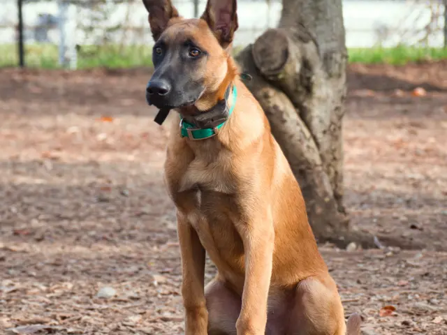 プロの技術でご満足いただけるように心を込めて撮影いたします