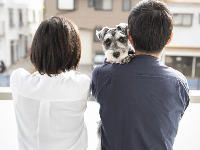 スタジオカメラマンが自然で優しいカップル写真を撮影します♫