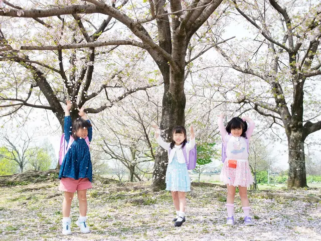 人と写真が大好きです!自然体な記念写真・子ども・着物写真が得意。着付けも出来ます