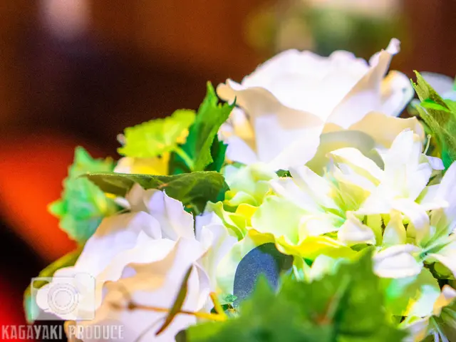 <静岡県発>経験豊富なカメラマンが出張撮影!自然な表情を撮影いたします!