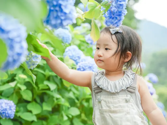 〖ずっと色褪せないように〗ー家族写真・成人式・入学式・卒業式撮影ー