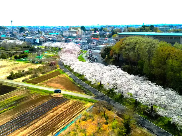 ドローン撮影・点検サービス【国家資格あり】