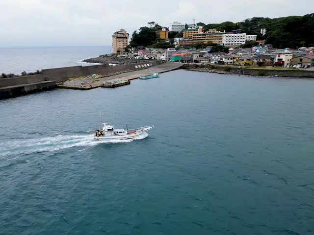 ドローン撮影・点検サービス【国家資格あり】
