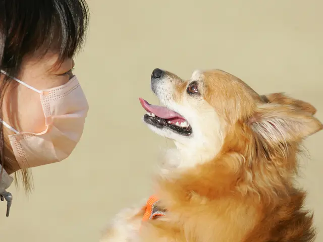 ドッグ撮影