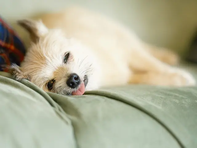 プロの技術でご満足いただけるように心を込めて撮影いたします