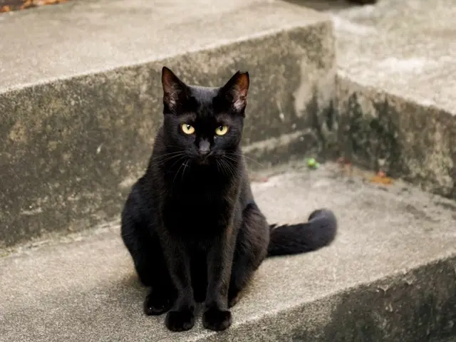 【前日予約も積極対応】●犬●猫●うさぎetc様々なペットにご対応可能!