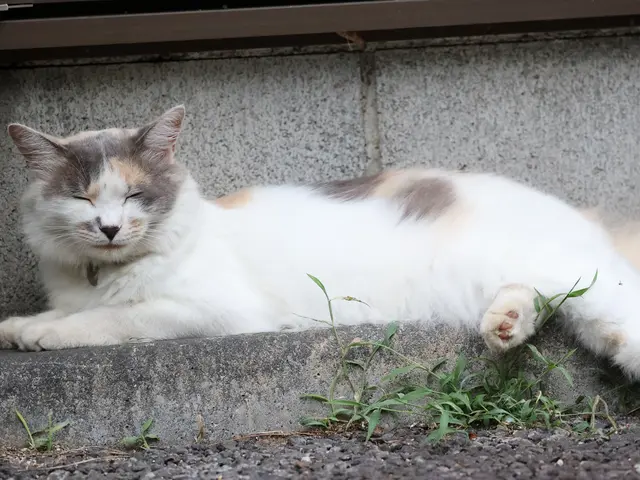 【低価格&高品質&即納】お客様の「こう撮りたい」を叶えます♪