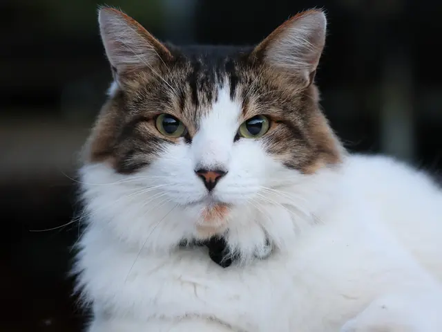 【低価格&高品質&即納】お客様の「こう撮りたい」を叶えます♪