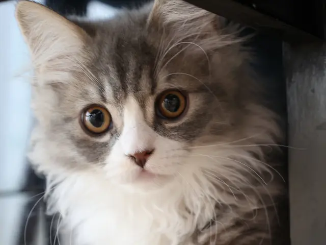 【低価格&高品質&即納】お客様の「こう撮りたい」を叶えます♪