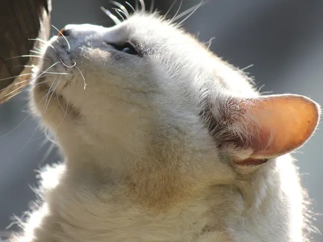 【低価格&高品質&即納】お客様の「こう撮りたい」を叶えます♪