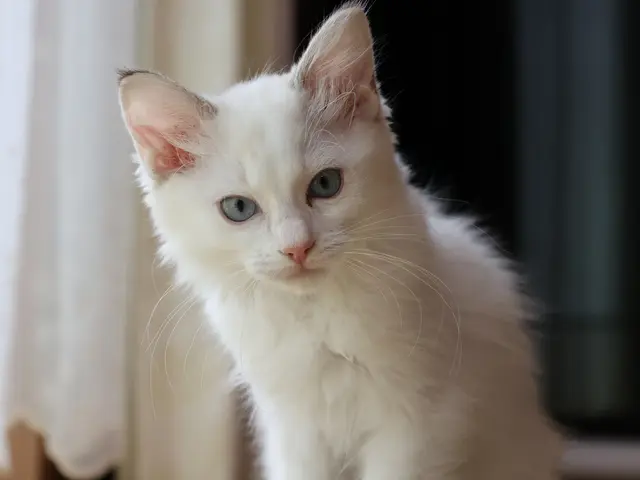 【低価格&高品質&即納】お客様の「こう撮りたい」を叶えます♪