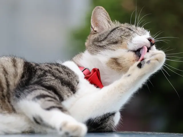 【低価格&高品質&即納】お客様の「こう撮りたい」を叶えます♪