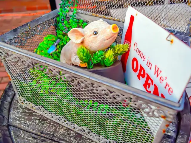 【展示会/企業実績有】家族/成人式/卒業式/入学式など、柔軟に撮影対応承ります!