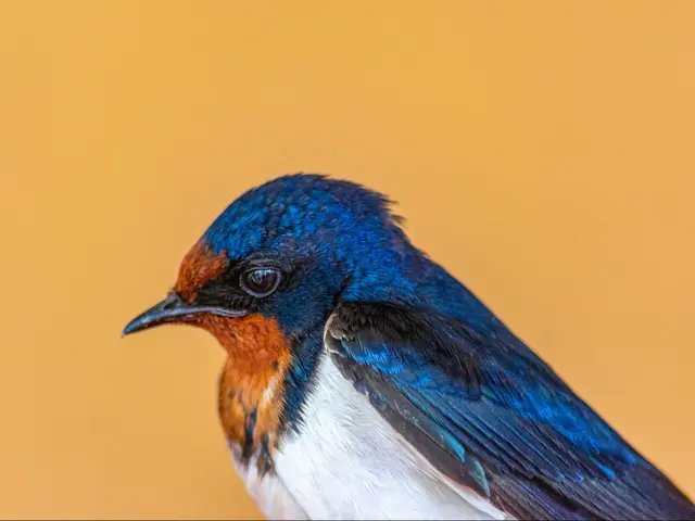 【展示会/企業実績有】家族/成人式/卒業式/入学式など、柔軟に撮影対応承ります!