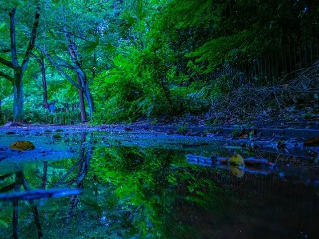 【展示会/企業実績有】家族/成人式/卒業式/入学式など、柔軟に撮影対応承ります!