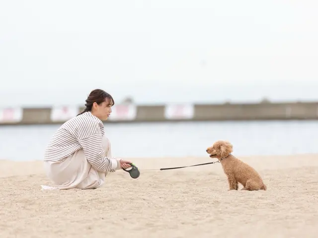 元気よく無邪気に走り回る姿やペットとの思い出を写真として残すお手伝いをします♪