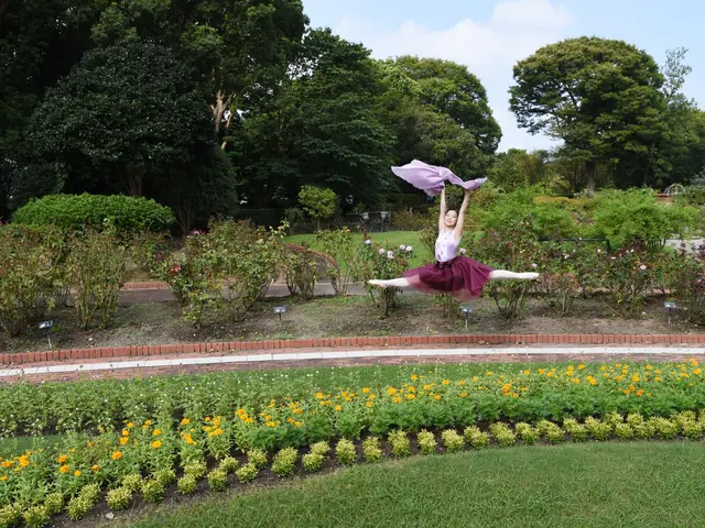 バレエカメラマンと無敵なプロフ写真を撮りましょう☆