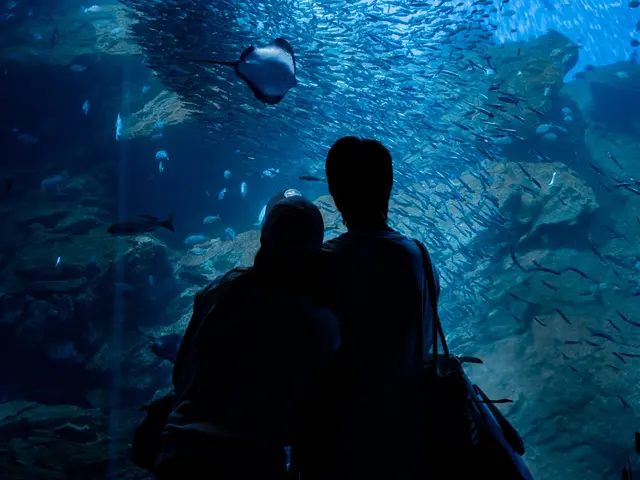 【地域密着】土日祝もご予約歓迎◎女性スタッフ同行可◎豊富な経験と知識で安心!