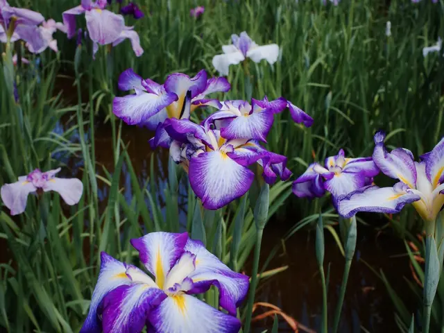 ブライダル・同窓会、家族写真などあらゆるご希望のシーンの撮影が可能!!