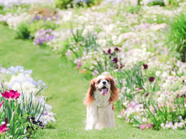 【相模原発!大切な家族との記憶をそのまま残します】