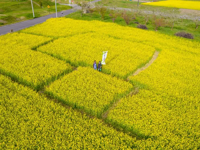 ドローンによる空撮・動画撮影