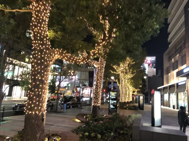 なんでも撮影