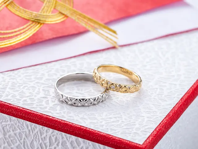 BtoB専門カメラマン 商業広告写真はお任せ!会社や店舗、メニュー、ECや商品等