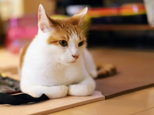 【全写真レタッチにて納品 お望みのイメージに仕上げます!】