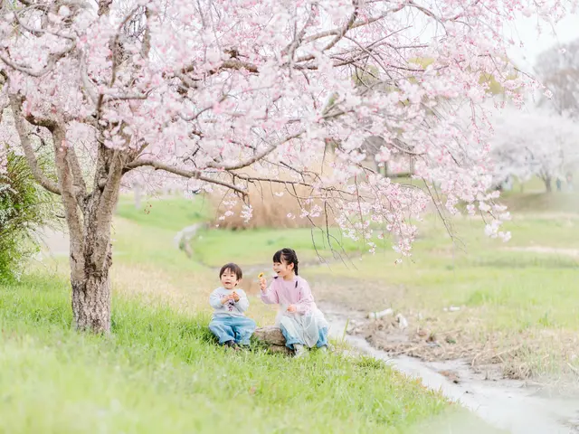 【家族撮影】季節の優しい彩りと一緒に家族の今をお撮りします