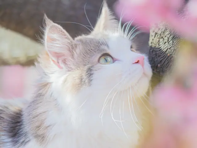 【枚数無制限!即日納品可能!】初回予約の方、大集合!限定価格でお受けいたします!