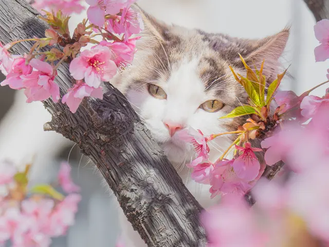 【枚数無制限!即日納品可能!】初回予約の方、大集合!限定価格でお受けいたします!