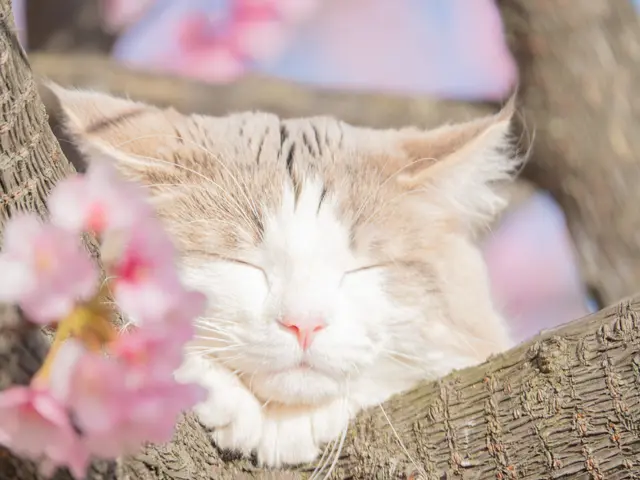 【枚数無制限!即日納品可能!】初回予約の方、大集合!限定価格でお受けいたします!