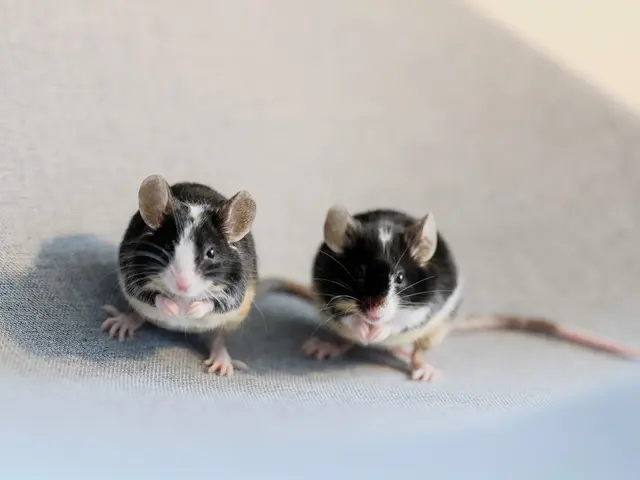 光の演出で被写体の魅力が伝わる自然体で印象深い写真を撮影いたします