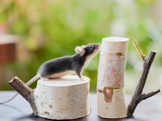 光の演出で被写体の魅力が伝わる自然体で印象深い写真を撮影いたします