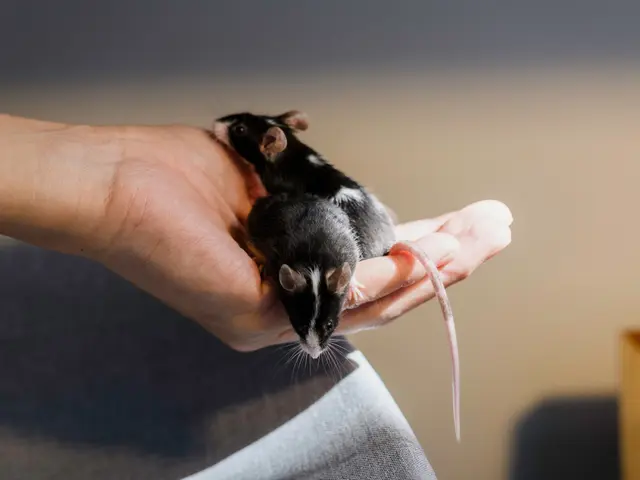 光の演出で被写体の魅力が伝わる自然体で印象深い写真を撮影いたします