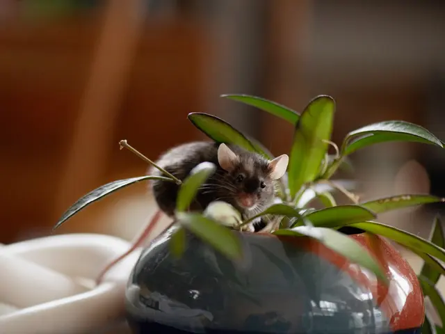 光の演出で被写体の魅力が伝わる自然体で印象深い写真を撮影いたします