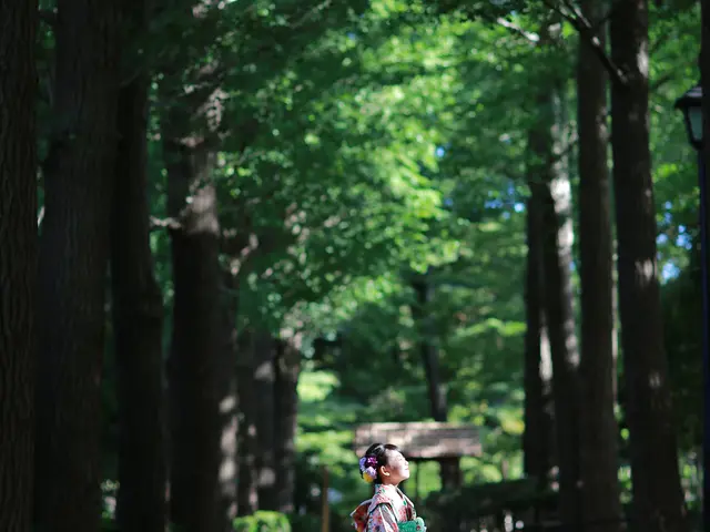 家族写真、七五三、成人式、入学、卒業など撮影いたします