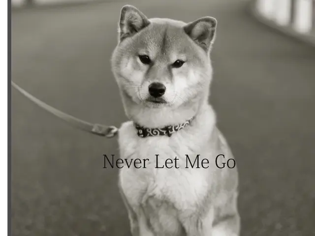 出張撮影・カメラマン