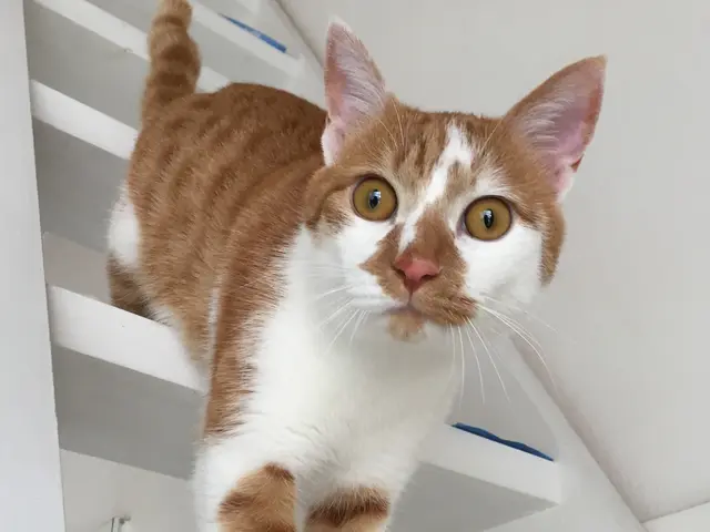 出張撮影・カメラマン