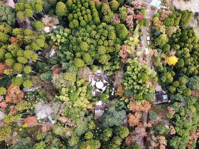 <埼玉県近郊対応>ドラマティックをコンセプトに心に残る写真を撮影します◎