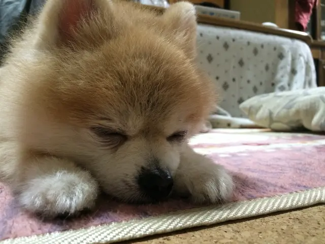☆その瞬間の輝きを忘れられない思い出に。ご負担に配慮した出張撮影☆