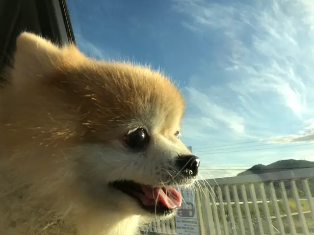 ☆その瞬間の輝きを忘れられない思い出に。ご負担に配慮した出張撮影☆