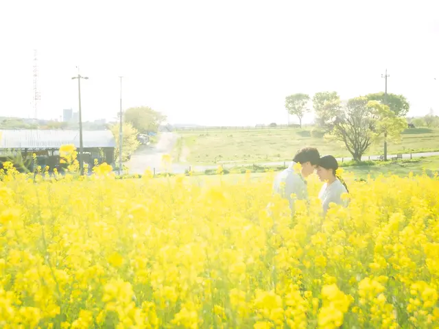 結婚式の写真データを重点的に欲しい!(遅くても次の日に納品可能)