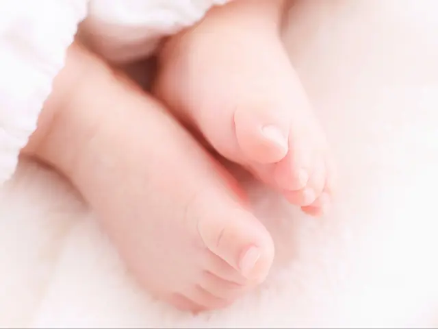 赤ちゃん撮影(1時間撮影データ300枚)