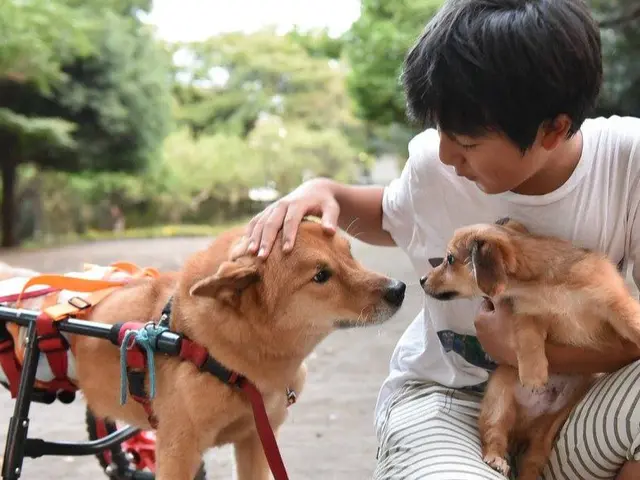 ご家族やペットの大切な瞬間を撮影。時給のみでカット数無制限。お急ぎなら翌日納品可
