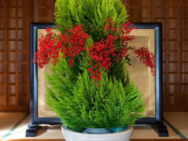 《業歴25年》人物広告写真など豊富な経験と知識で「丁寧な仕事」を心がけています!