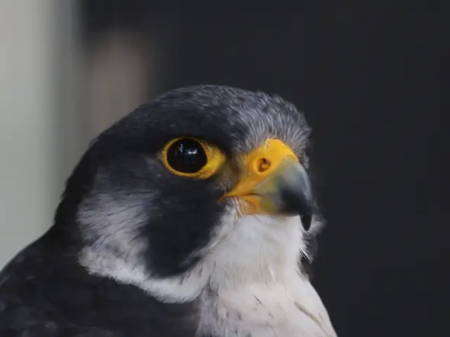 プロの技術でご満足いただけるように心を込めて撮影いたします